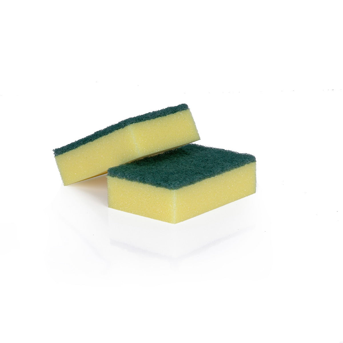 Robert Scott Sponge Scourers Pack of 10