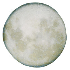 Selene Presentation Plate 31cm Box of 6