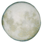 Selene Presentation Plate 31cm Box of 6