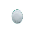 Scape Glass Clear Oval Bowl 20cm (7 7/8")