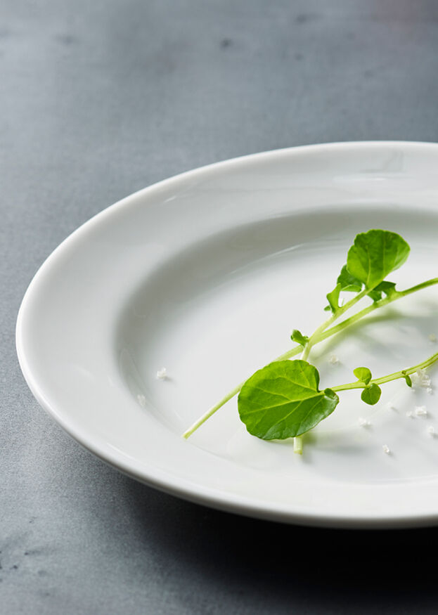 Monaco White Bowl No3 11.5cm 26cl (4 1/2" 9oz)