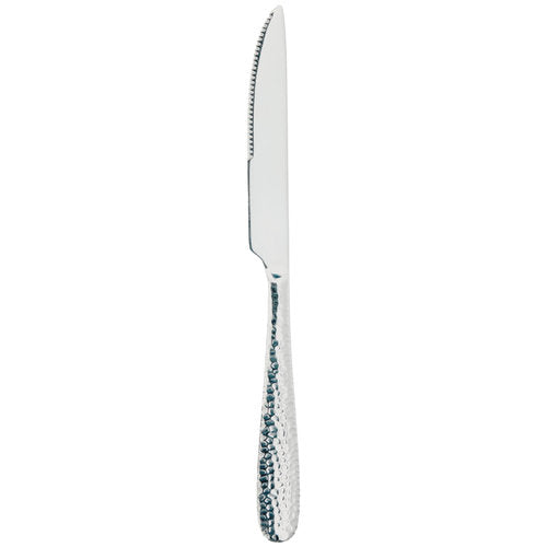 Echo Steak Knife 18/0 Dozen