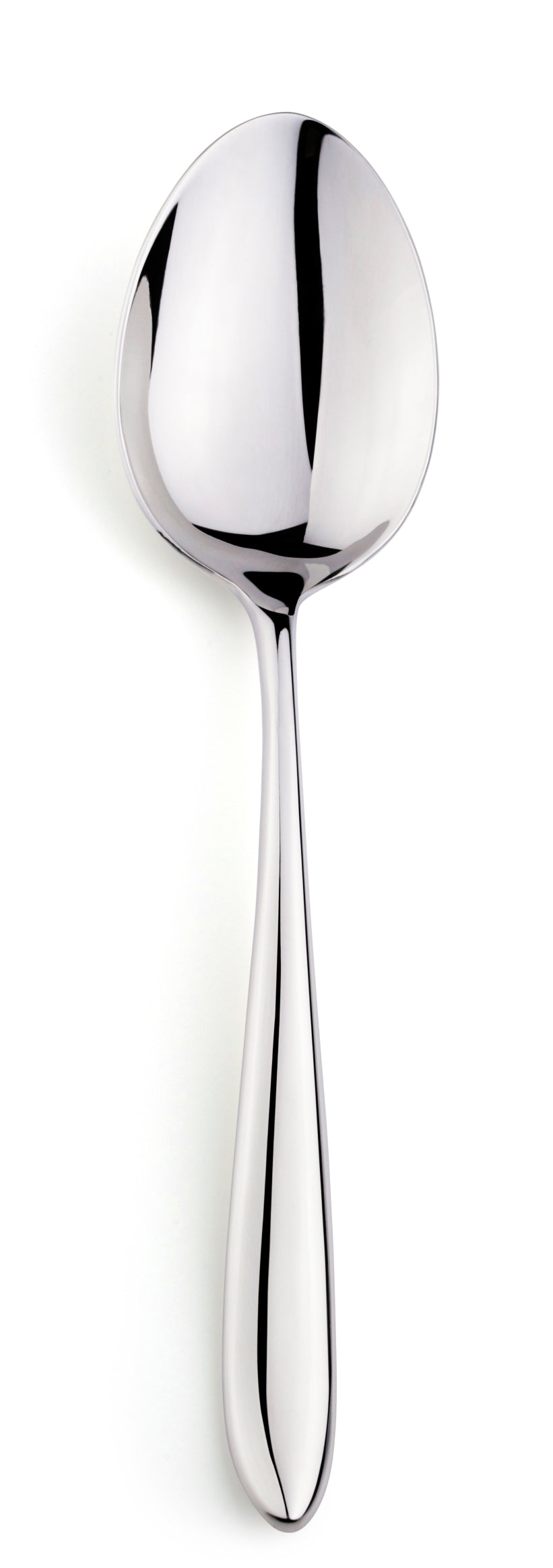 Elia Aspira Serving Spoon Pack of 2
