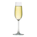 Madison Champagne Flute 7.4oz/21cl Pack of 6