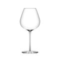 Fino Burgundy 807ml/28¼oz Box of 6