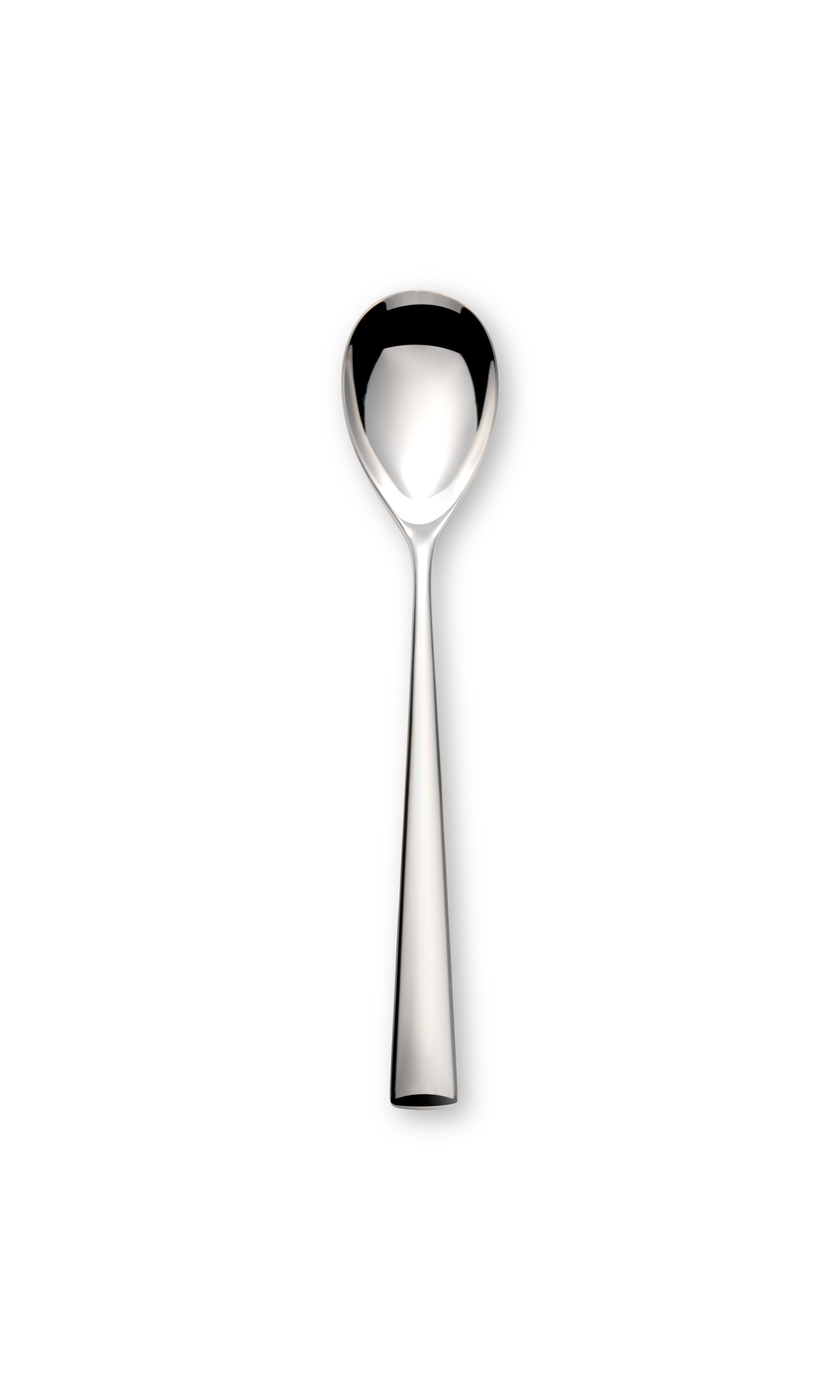 Elia Motive Serving Spoon Pack of 2